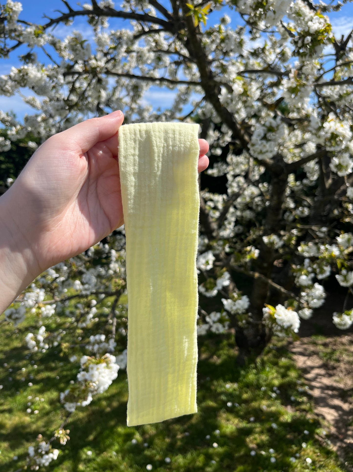 Bandeau jaune